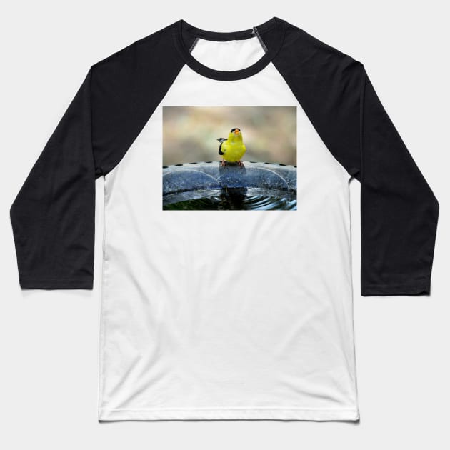 thirsty goldfinch... Baseball T-Shirt by LaurieMinor